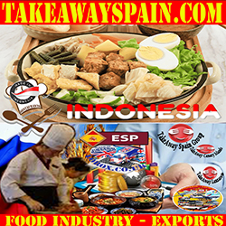 Comida Tradicional Indonesia