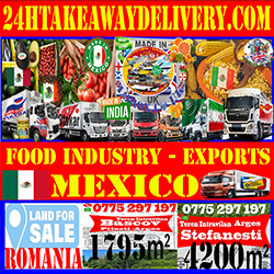 Comida Tradicional Mexicana